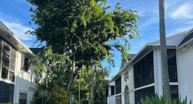 countrysidevillagecondo_110