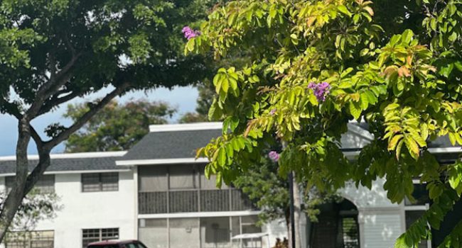 countrysidevillagecondo_112