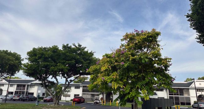 countrysidevillagecondo_115